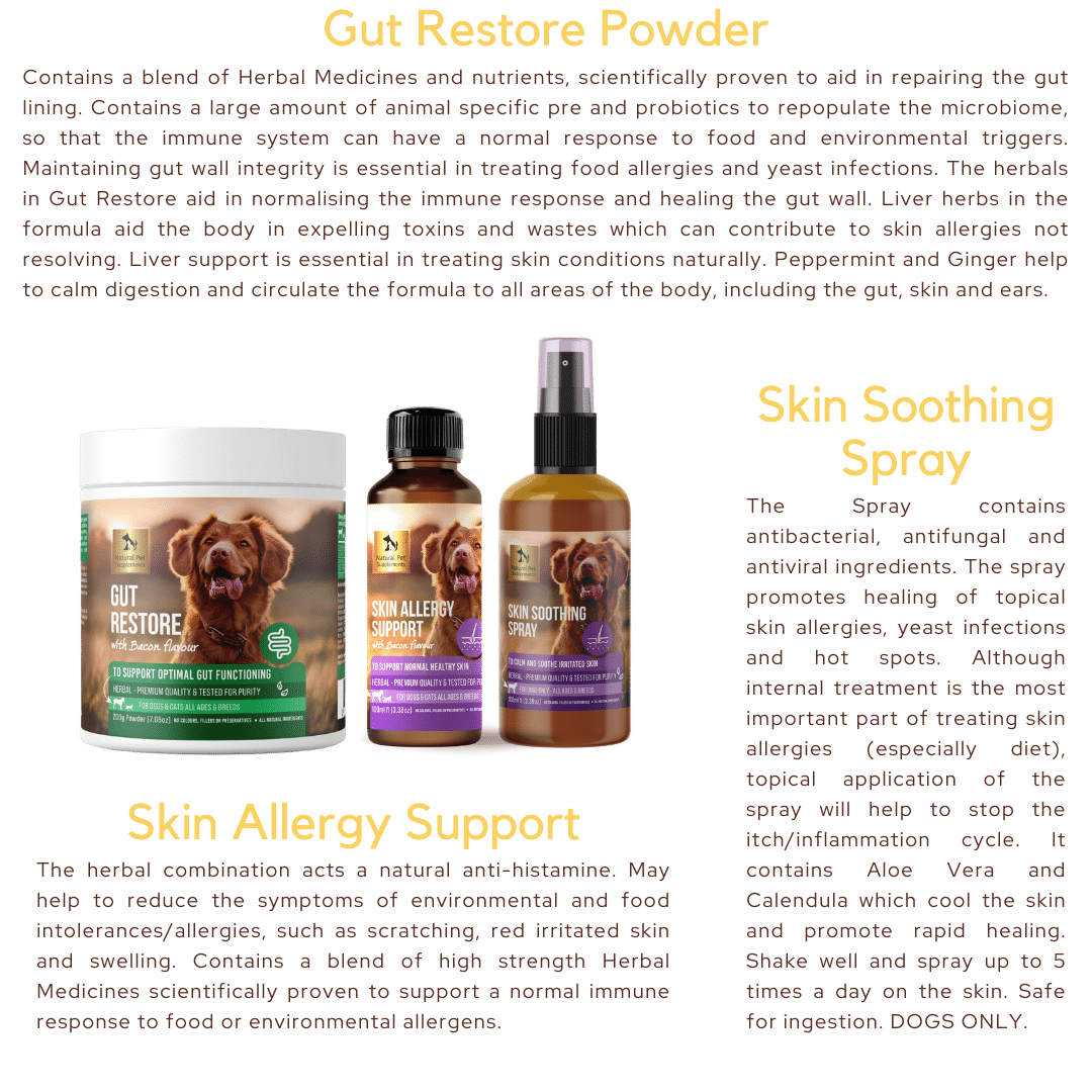 Natural allergy on sale medicine for dogs